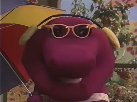 barney sunglasses